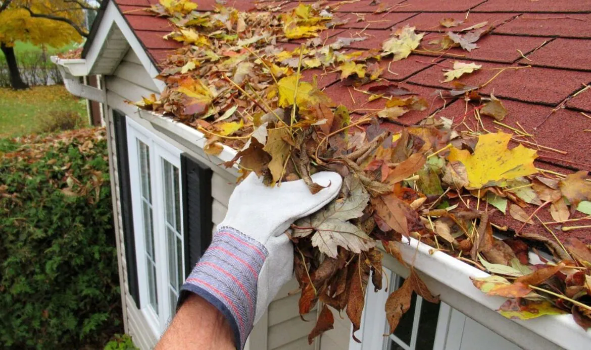 Maximizing Your Homes Value with Routine Roof Care