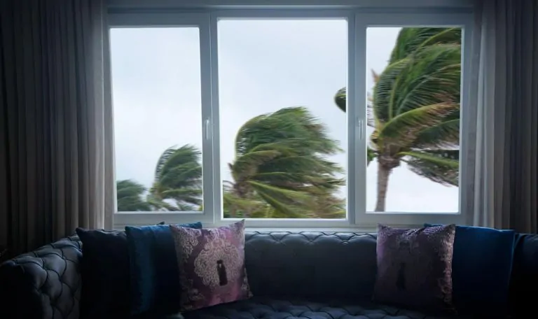 hurricane impact windows