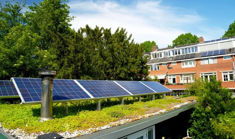 roof gardens in boynton beach urban heat reduction and eco benefits